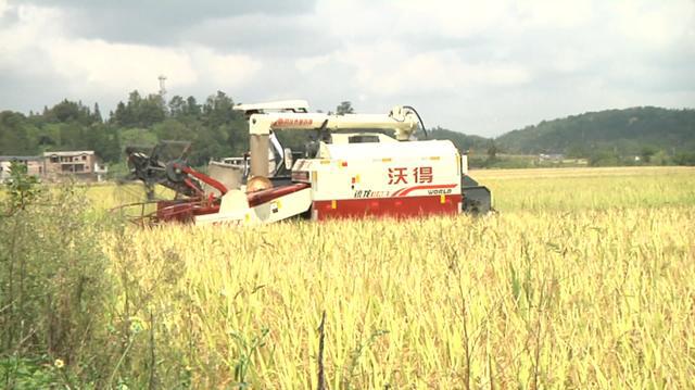 西秀区农业农村局领导团队新貌及未来展望